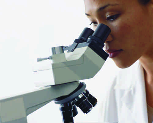 Il cervello maschile e quello femminile: quali differenze?