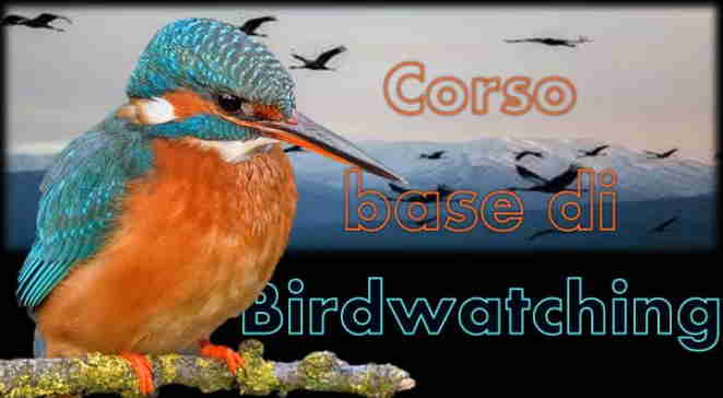 Parco Nord, al via il corso di birdwatching