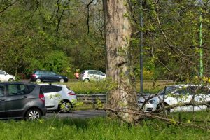 Riqualificazione del viale Fulvio Testi, avviato il campionamento degli inquinanti