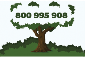 Verde pubblico: bilancio positivo per il numero verde di segnalazione