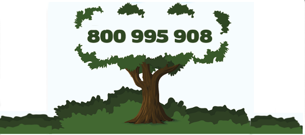 Verde pubblico: bilancio positivo per il numero verde di segnalazione