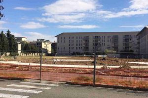 Verde: arrivano la sistemazione dei giardini delle scuole e aiuole fiorite nei punti strategici