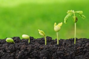 Agricoltura, i trend in Lombardia tra la ricerca di salute e benessere
