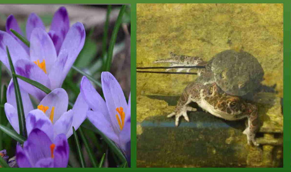 100 nuove Guardie Ecologiche Volontarie per Parco Nord Milano