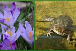 100 nuove Guardie Ecologiche Volontarie per Parco Nord Milano