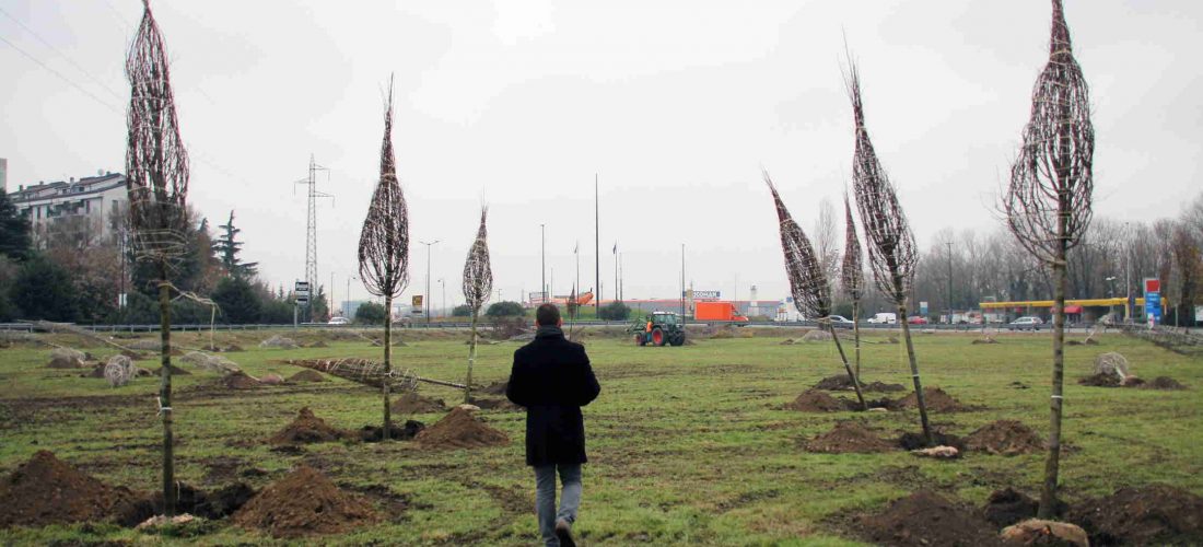La porta verde di Segrate: piantati 85 alberi nel terreno tra via Cervi e la Cassanese