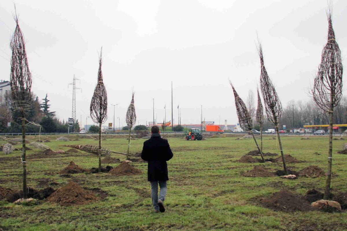 La porta verde di Segrate: piantati 85 alberi nel terreno tra via Cervi e la Cassanese