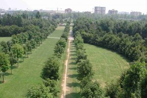 Parco Nord Milano lancia la nuova campagna “Fai sbocciare il Natale!”