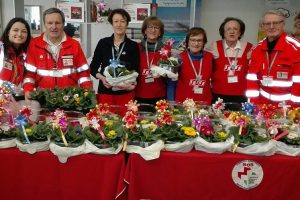 Le primule della SOS Sesto accompagnano l’arrivo della primavera