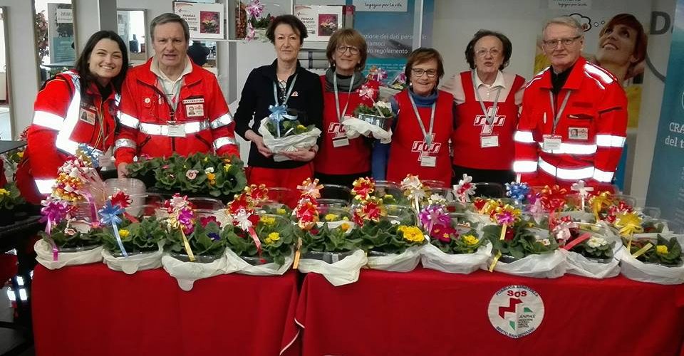 Le primule della SOS Sesto accompagnano l’arrivo della primavera