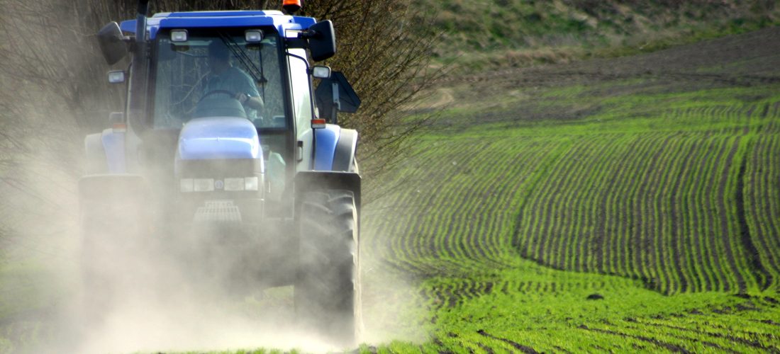 Si consolidano le imprese agricole, stabile il prezzo dei terreni