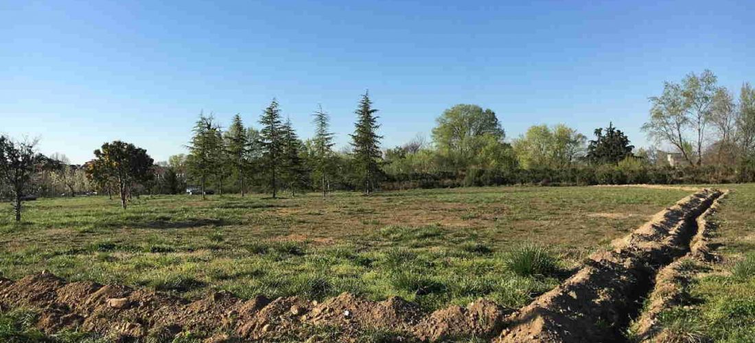 Il Nuovo Centroparco è sempre più verde e accessibile: in arrivo 800 piante e piste ciclabili