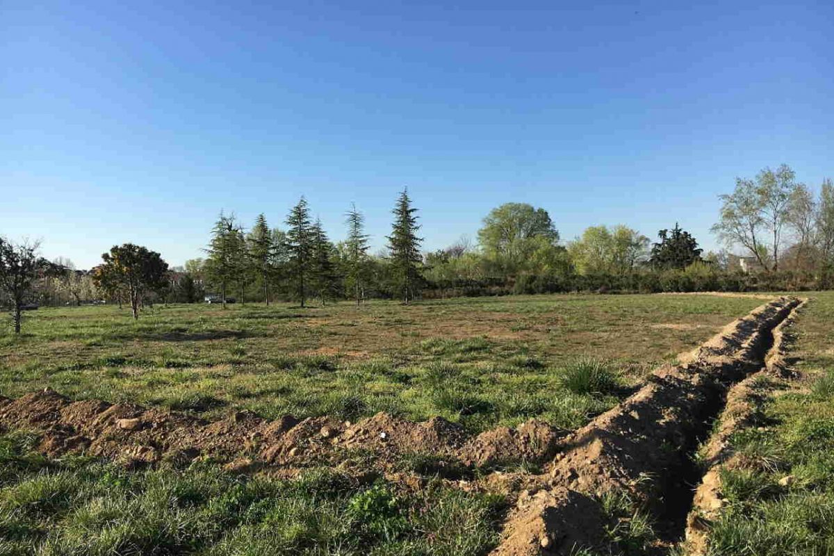 Il Nuovo Centroparco è sempre più verde e accessibile: in arrivo 800 piante e piste ciclabili