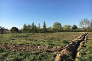 Il Nuovo Centroparco è sempre più verde e accessibile: in arrivo 800 piante e piste ciclabili