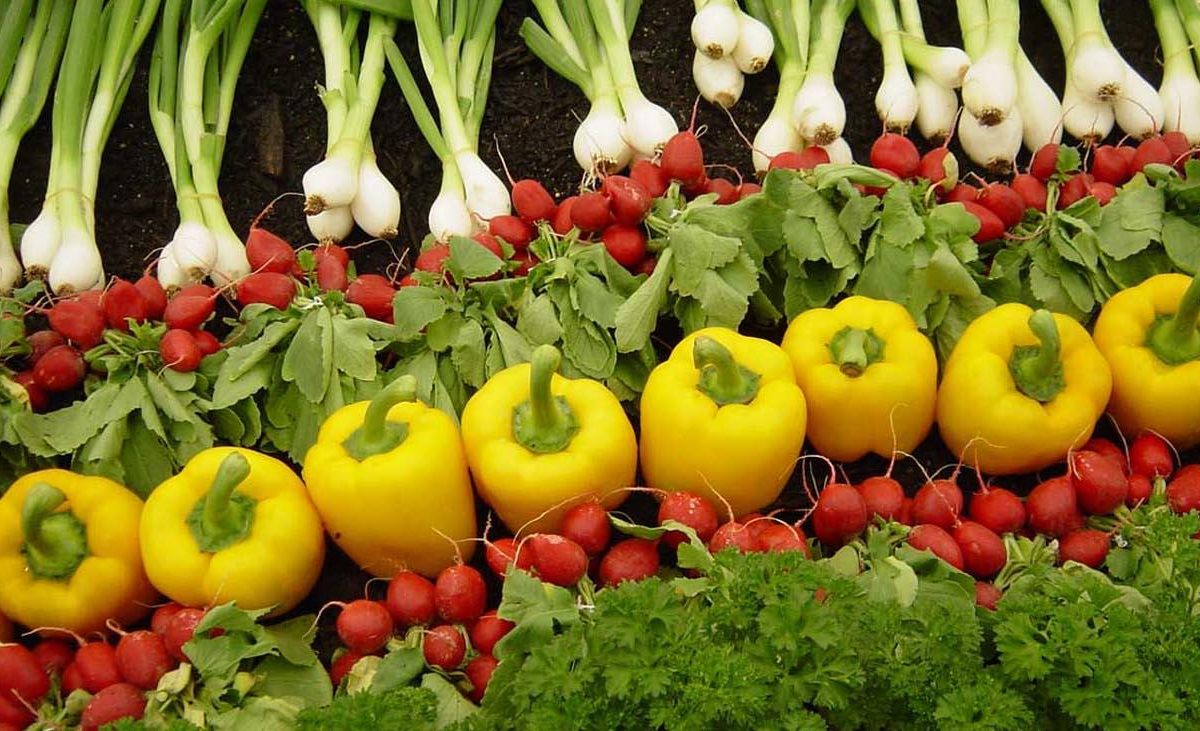 Milano: i settori agroalimentare e ristorazione valgono 49 miliardi