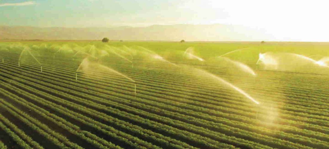 Agricoltura lombarda: i nuovi trend premiano frutta, ortaggi, olio, miele, fiori e piante