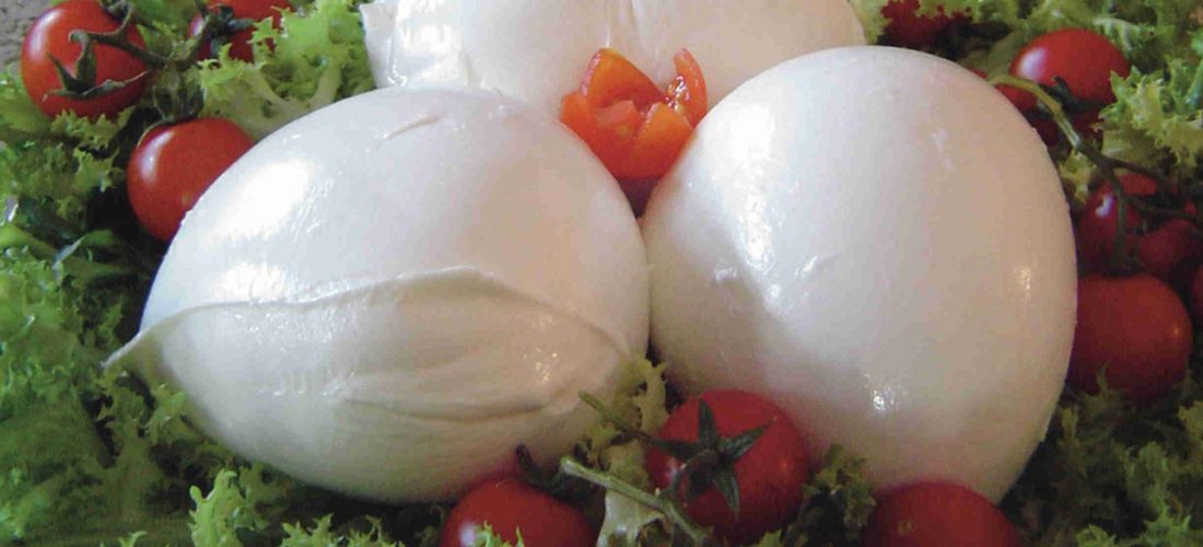 A Milano nascono 65 imprese al giorno, 24mila sono le nate all’anno