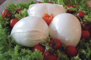 A Milano nascono 65 imprese al giorno, 24mila sono le nate all’anno