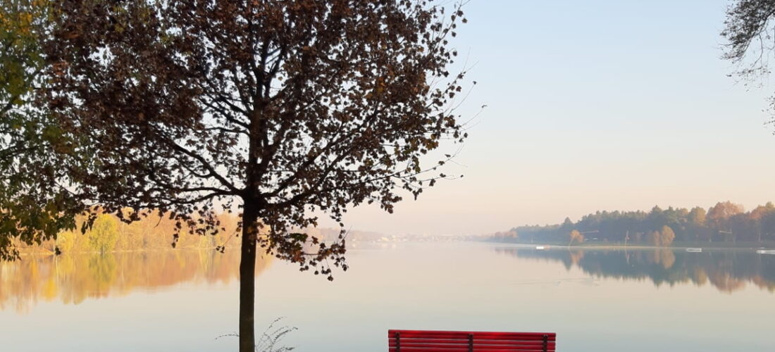 Idroscalo: 10 panchine rosse per dire NO alla violenza sulle donne