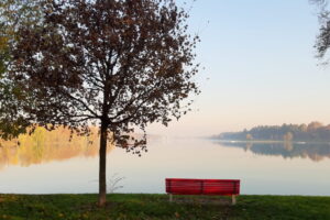 Idroscalo: 10 panchine rosse per dire NO alla violenza sulle donne