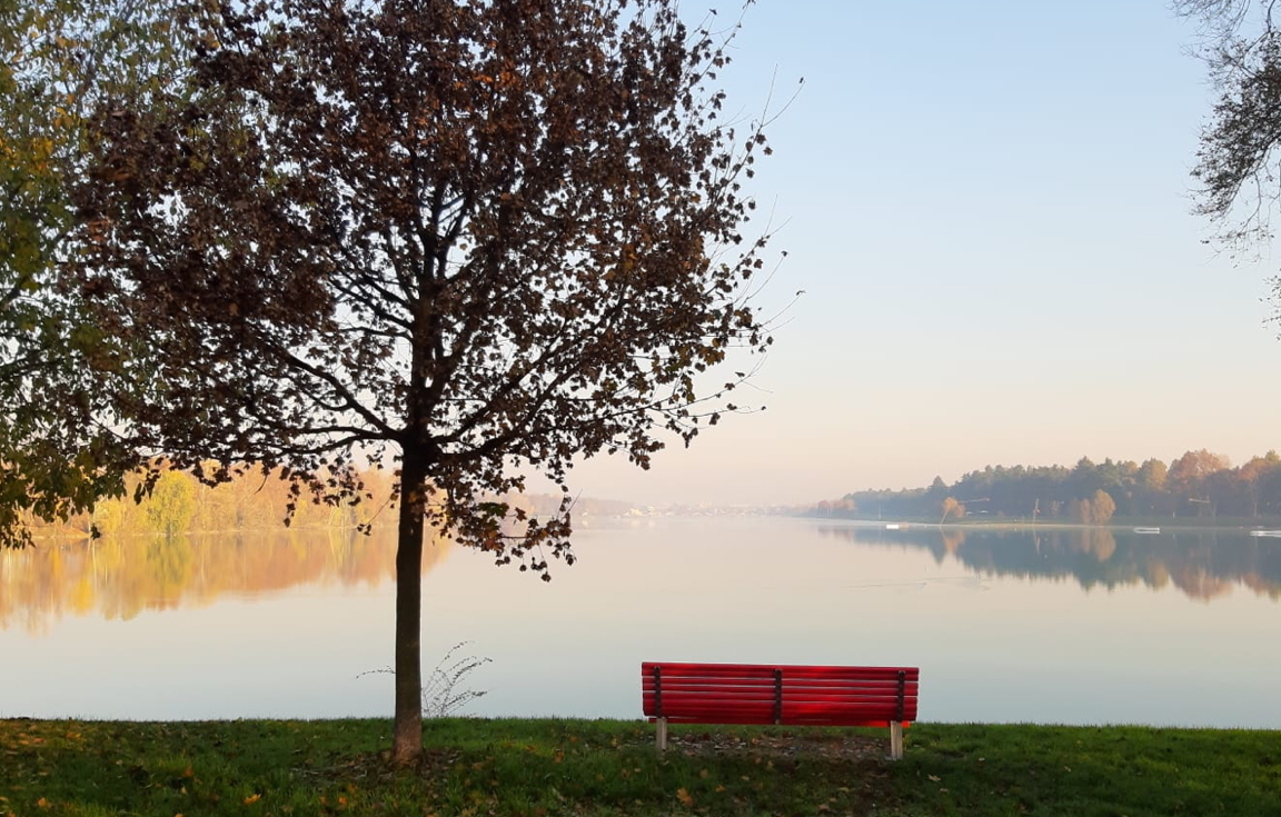 Idroscalo: 10 panchine rosse per dire NO alla violenza sulle donne