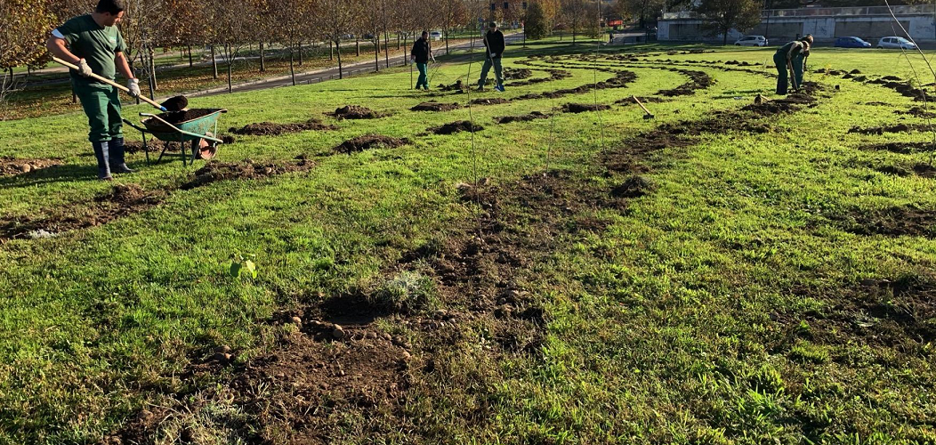 Gruppo CAP con Forestami verso l’obiettivo di Carbon Neutrality