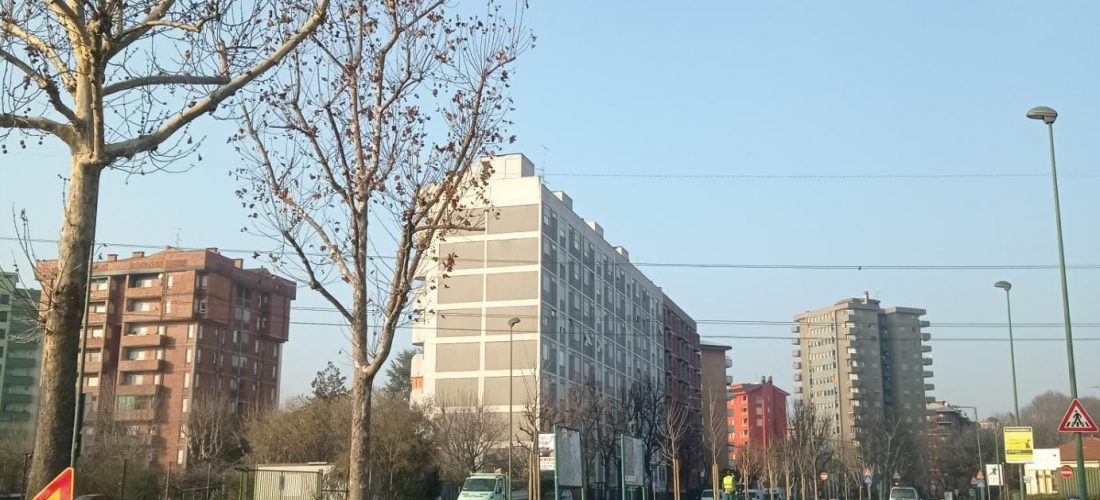 Piantumazioni in corso: 200 nuovi alberi tutta la città