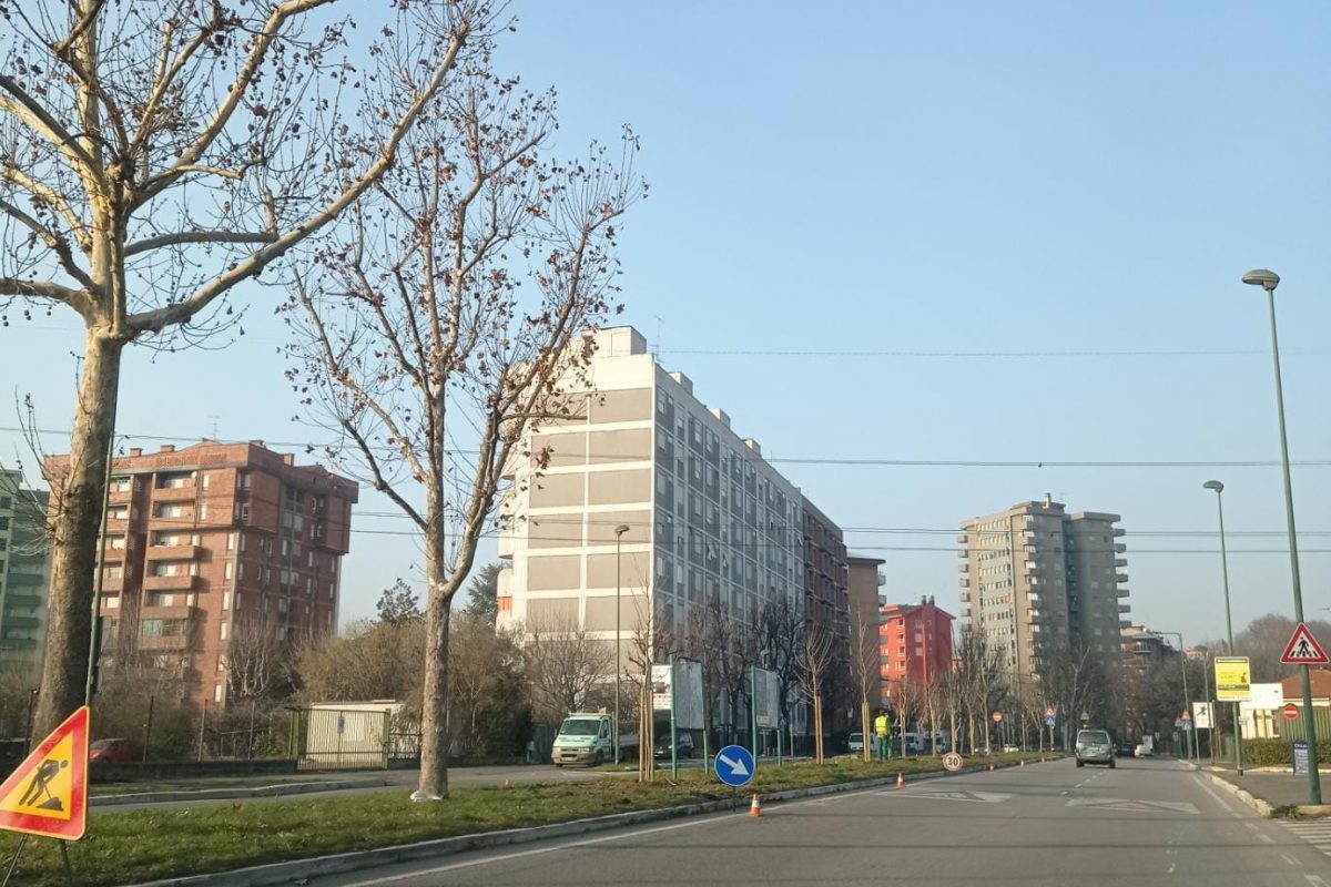 Piantumazioni in corso: 200 nuovi alberi tutta la città