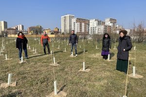 Il progetto Forestami a Sesto San Giovanni: 1.550 nuovi alberi per la città