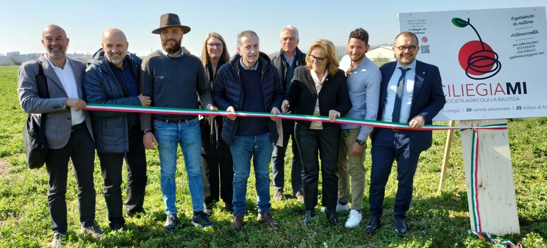 6000 nuovi ciliegi nel Parco Nord