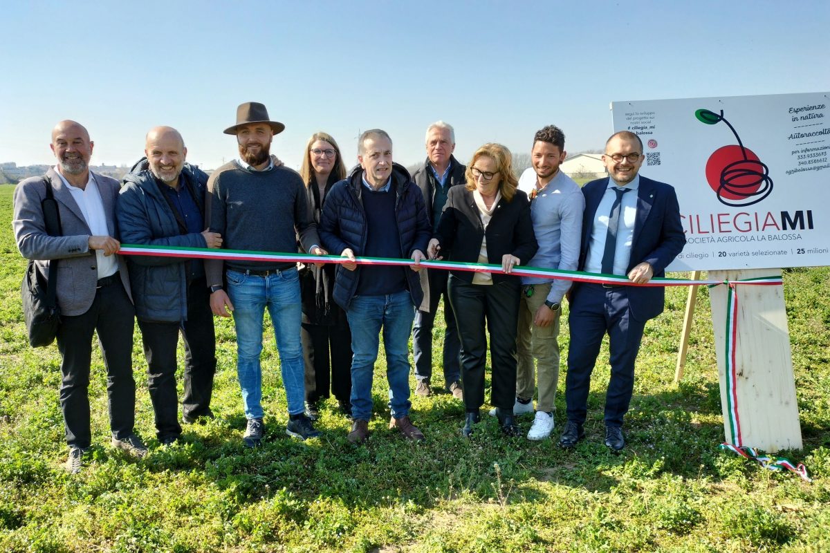 6000 nuovi ciliegi nel Parco Nord