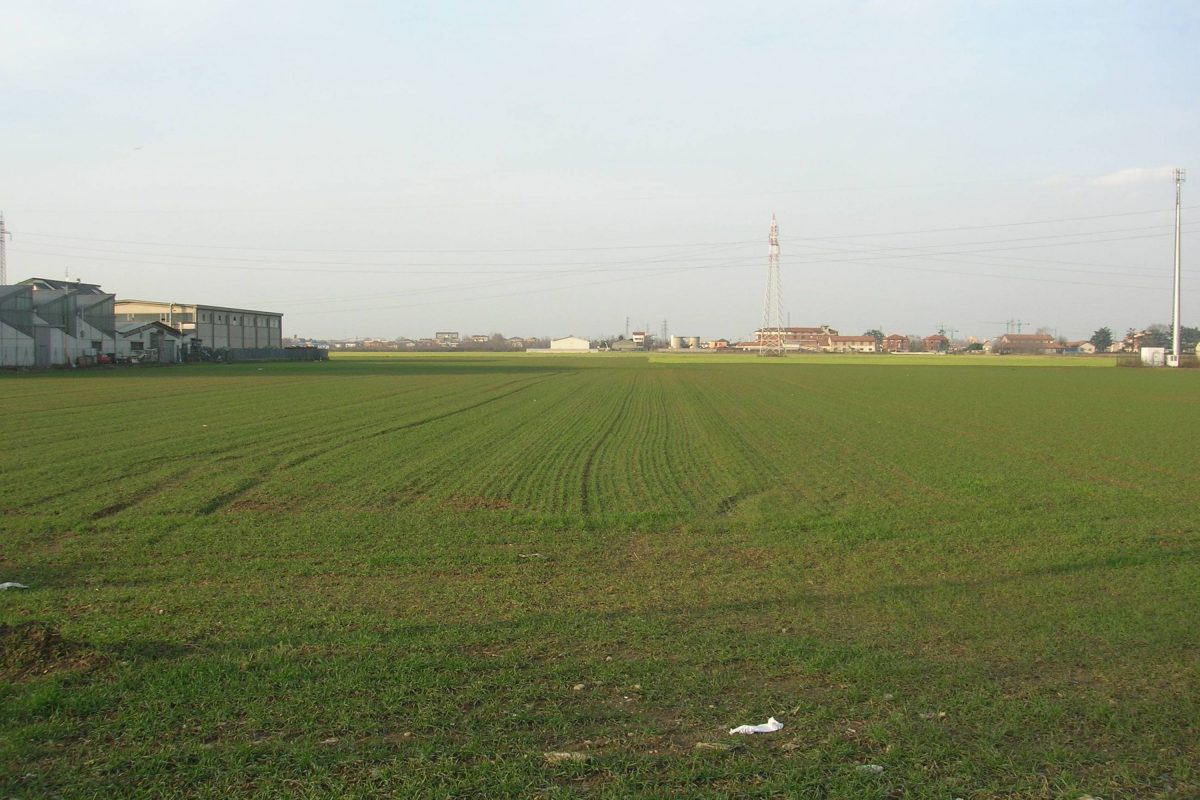 Parco Nord Milano acquista nuovi terreni in area Balossa (circa 15 ettari)