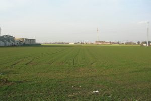 Parco Nord Milano acquista nuovi terreni in area Balossa (circa 15 ettari)
