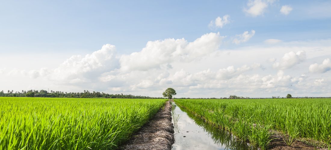 Impegno verso il Pianeta e le risorse idriche: il bilancio di sostenibilità di Gruppo CAP