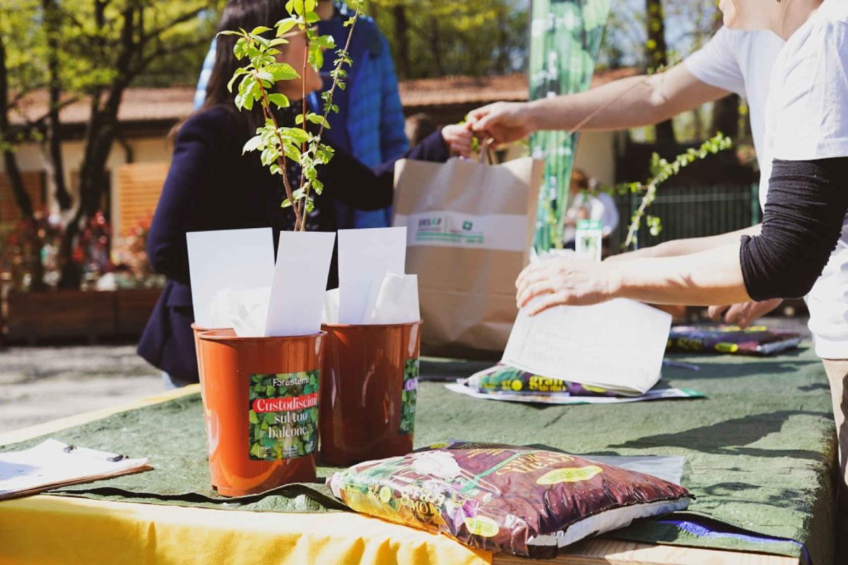 2.500 cittadini hanno ritirato le piantine <strong>che custodiranno per i prossimi mesi</strong>