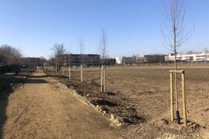 Dal 2019 piantati 14.725 nuovi alberi: obiettivo raggiunto e superato