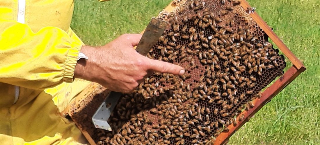 Gruppo CAP apre le porte dei suoi impianti e laboratori per far conoscere il ciclo virtuoso dell’acqua