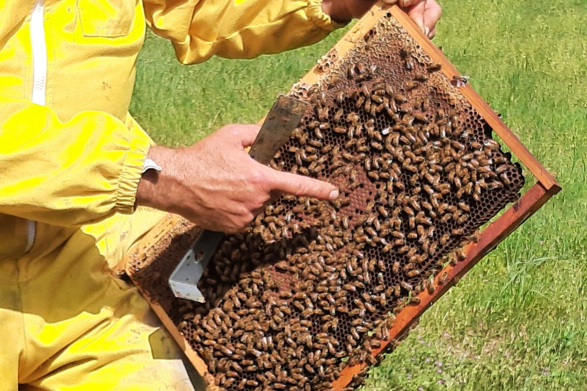 Gruppo CAP apre le porte dei suoi impianti e laboratori per far conoscere il ciclo virtuoso dell’acqua