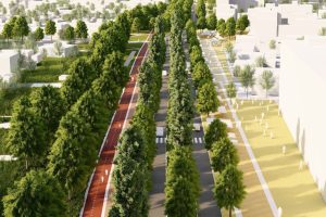 Chilometroverde: la Cassanese diventa un parco alberato lungo tre chilometri