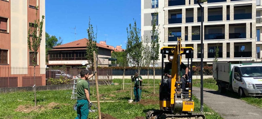 Forestami a Cusano Milanino: 56 nuove piante in via Sormani ma non solo…