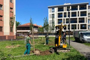 Forestami a Cusano Milanino: 56 nuove piante in via Sormani ma non solo…