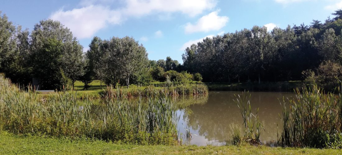 Parco Nord Milano si amplia grazie a 150 ettari del Parco Grubrìa