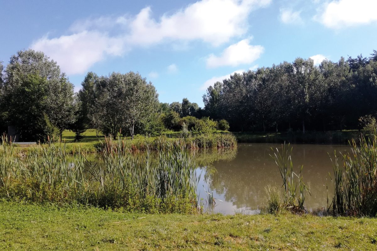 Parco Nord Milano si amplia grazie a 150 ettari del Parco Grubrìa
