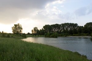CAP e Parco Nord: al via il progetto per potenziare la rete di riuso dell’acqua depurata