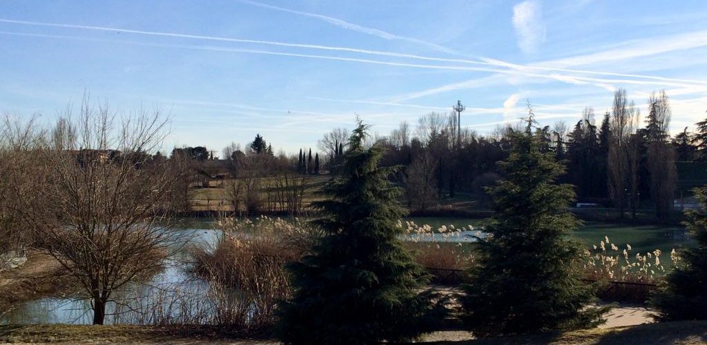 Lavori di manutenzione forestale nel Parco Lago Nord 
