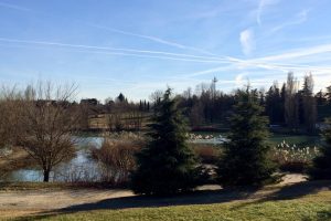 Lavori di manutenzione forestale nel Parco Lago Nord 