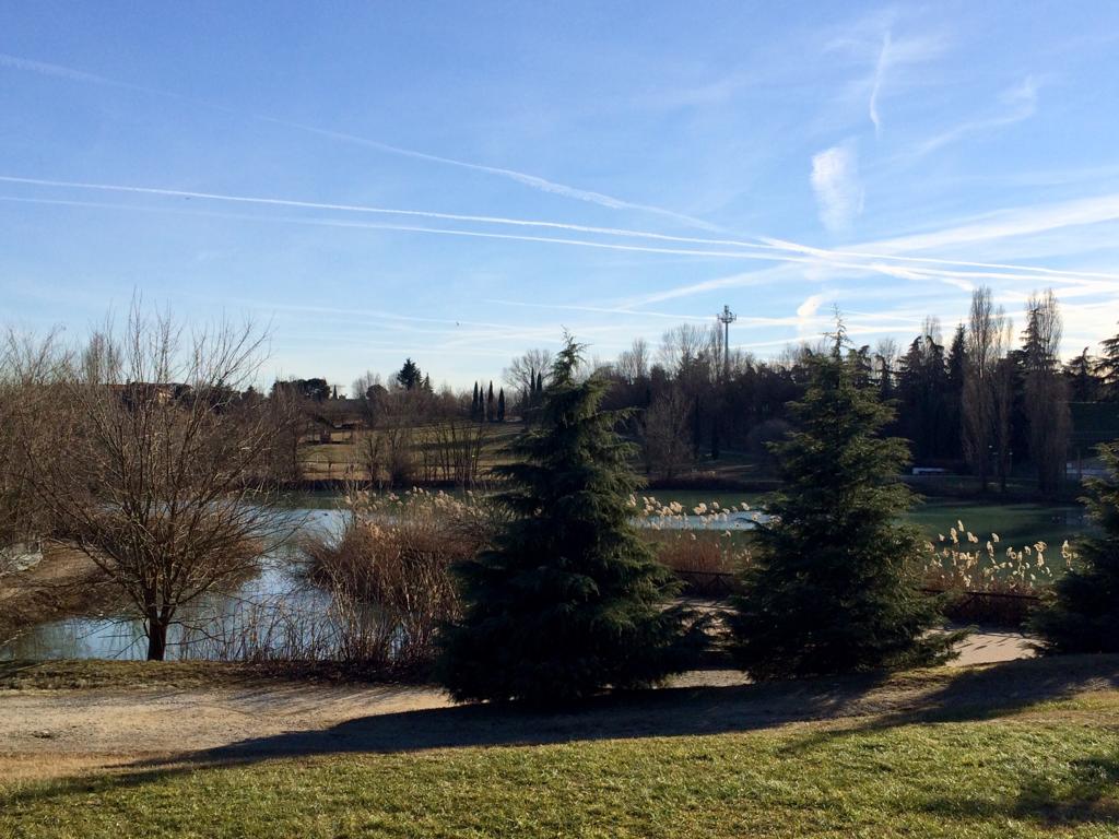 Lavori di manutenzione forestale nel Parco Lago Nord 