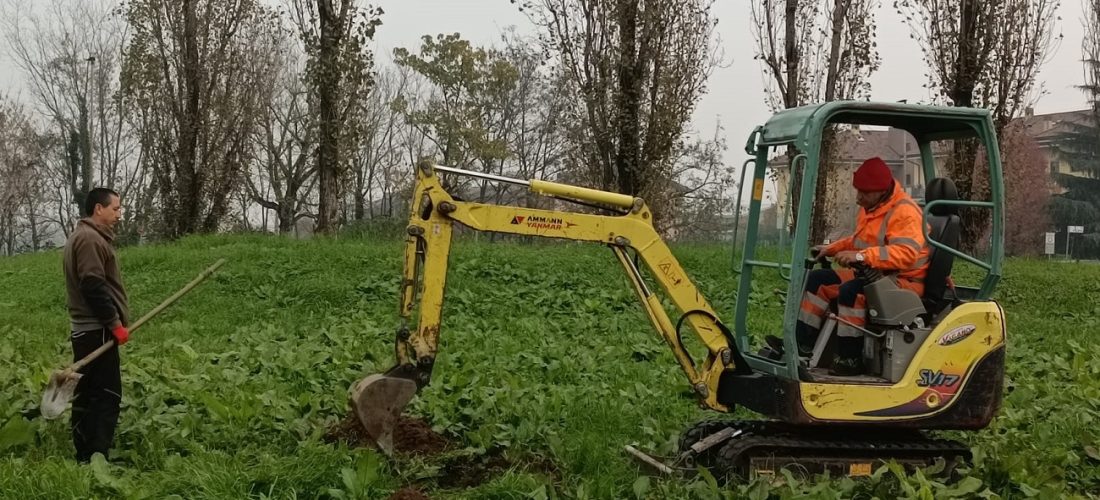 Verde pubblico: corposi interventi su tutto il territorio