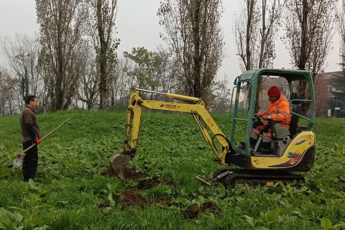 Verde pubblico: corposi interventi su tutto il territorio