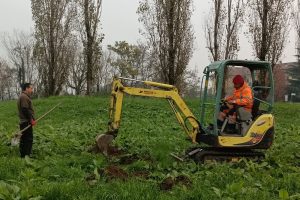 Verde pubblico: corposi interventi su tutto il territorio